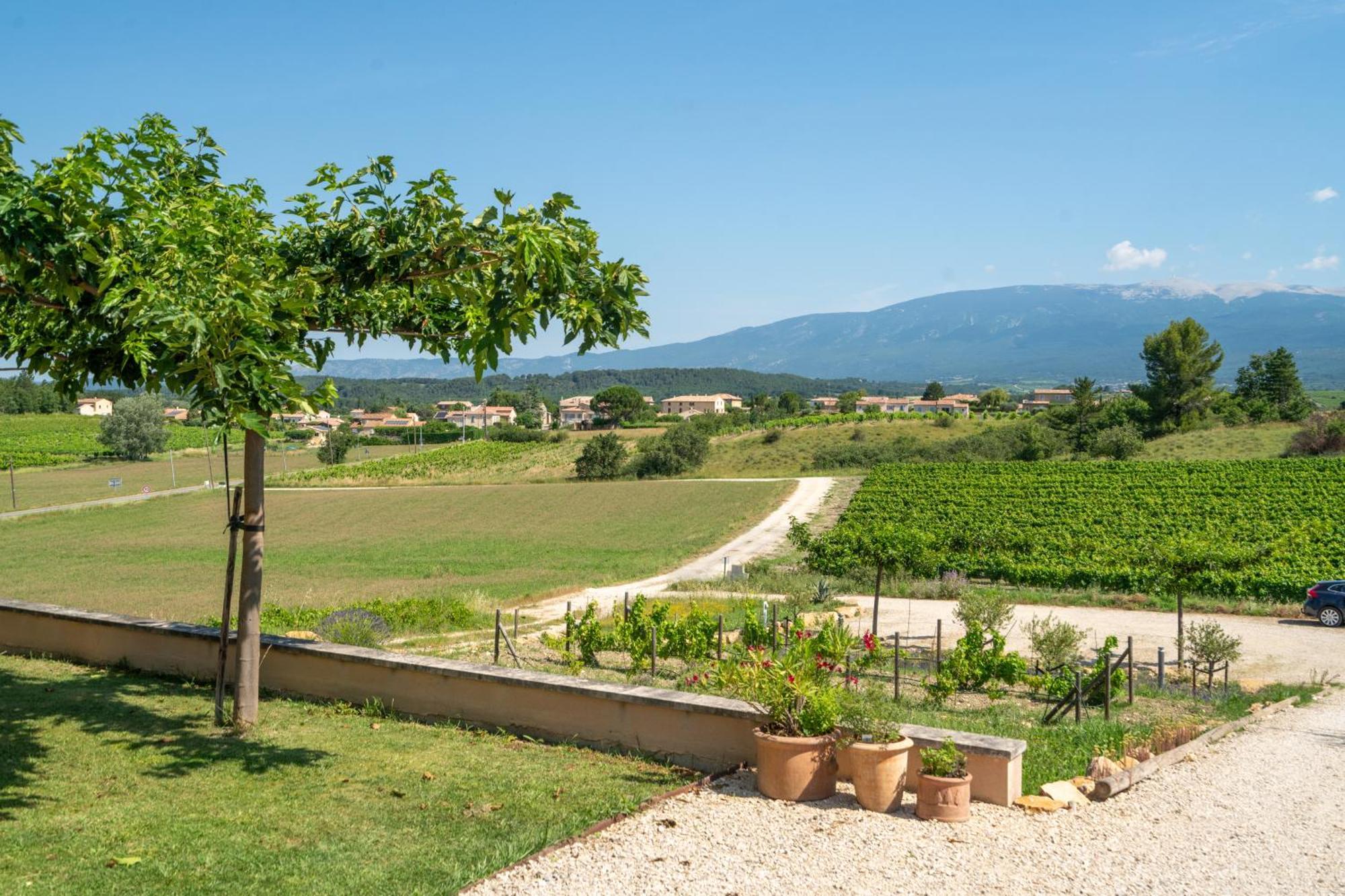 Les Terrasses De Cascavelle Villa Blauvac Екстериор снимка
